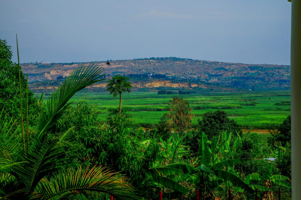 Rwanda Faces First Outbreak of Deadly Marburg Virus as Global Concerns Rise